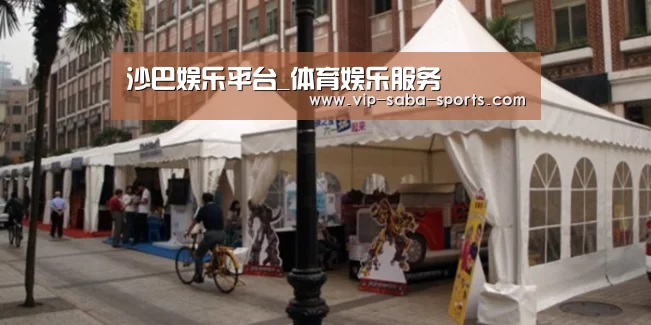 案例标题九