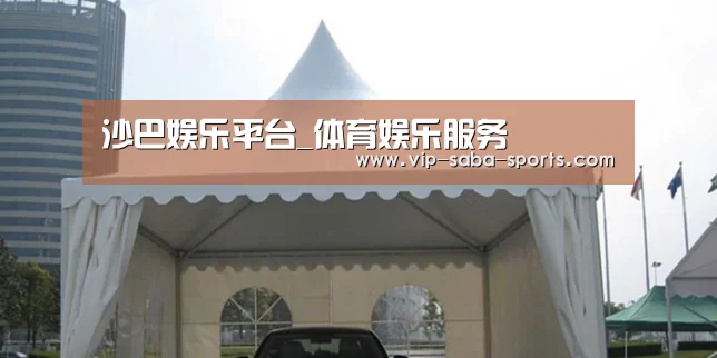 案例标题八