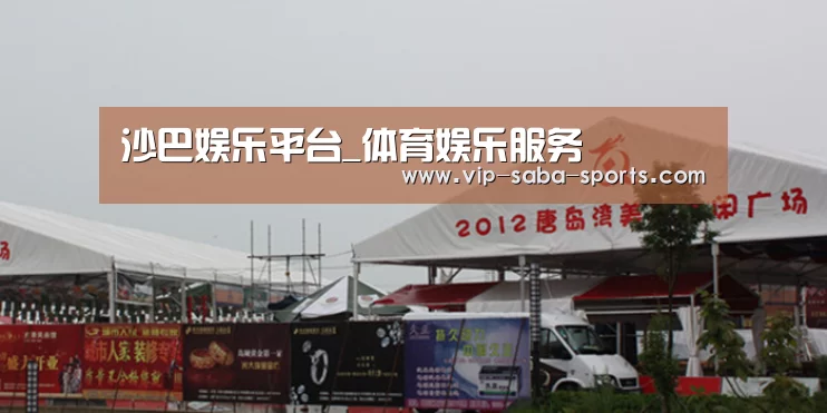 案例标题十