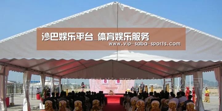 案例标题三