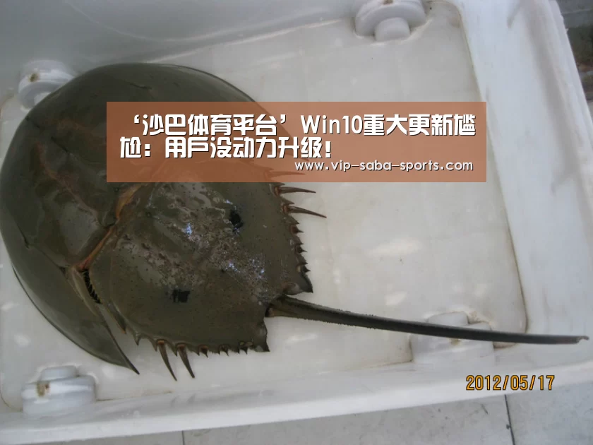 ‘沙巴体育平台’Win10重大更新尴尬：用户没动力升级！